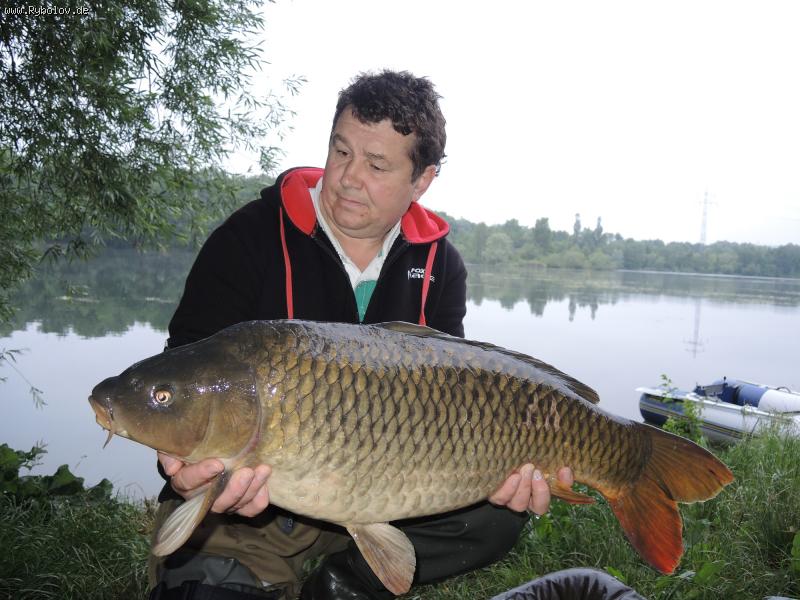 --���� - ������� (����������)