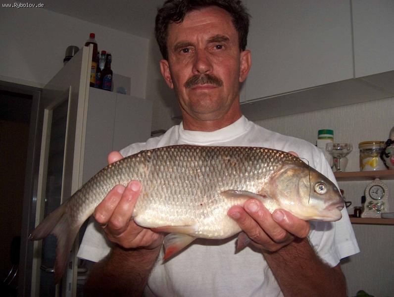 --��� ������ ���. - ������� (����������)