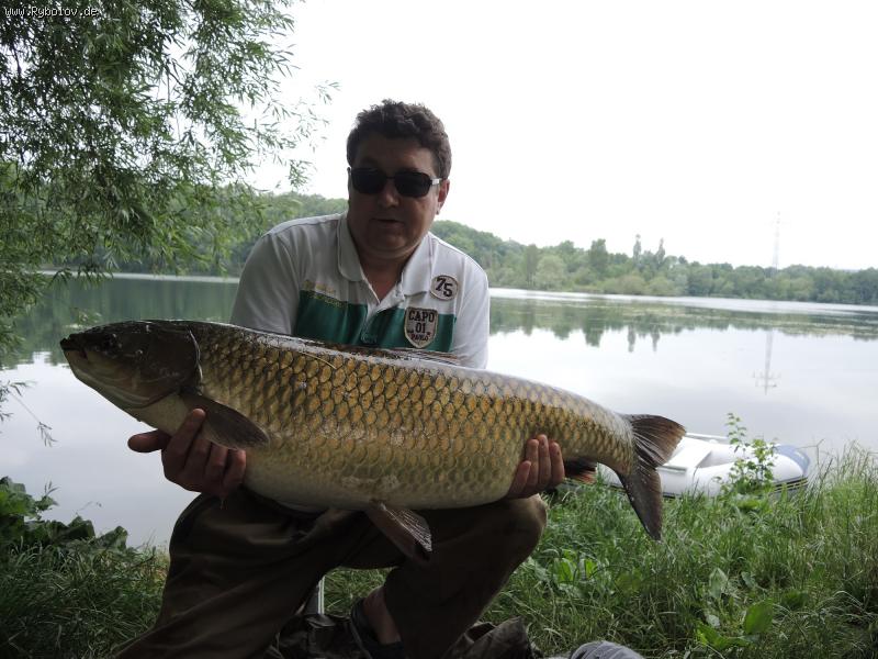 --���� - ������� (����������)