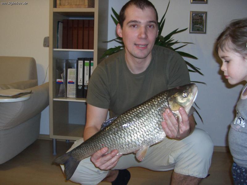 --  D&#246;bel   -  ()