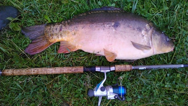 --���������� ���� - ������� (����������)