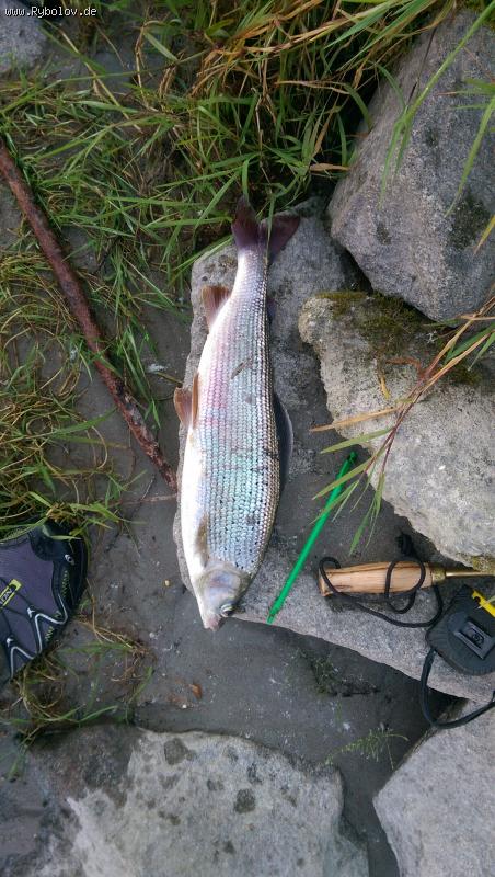 --������ - ������� (����������)