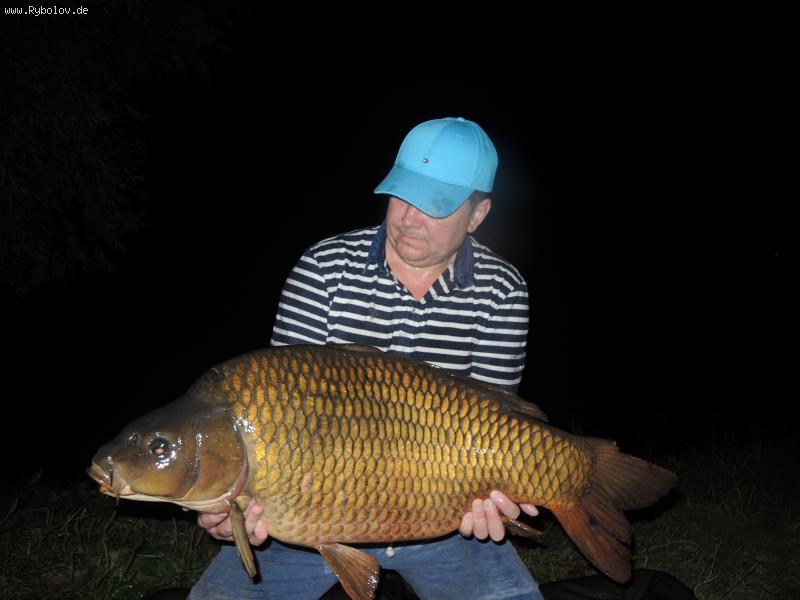 --���� - ������� (����������)