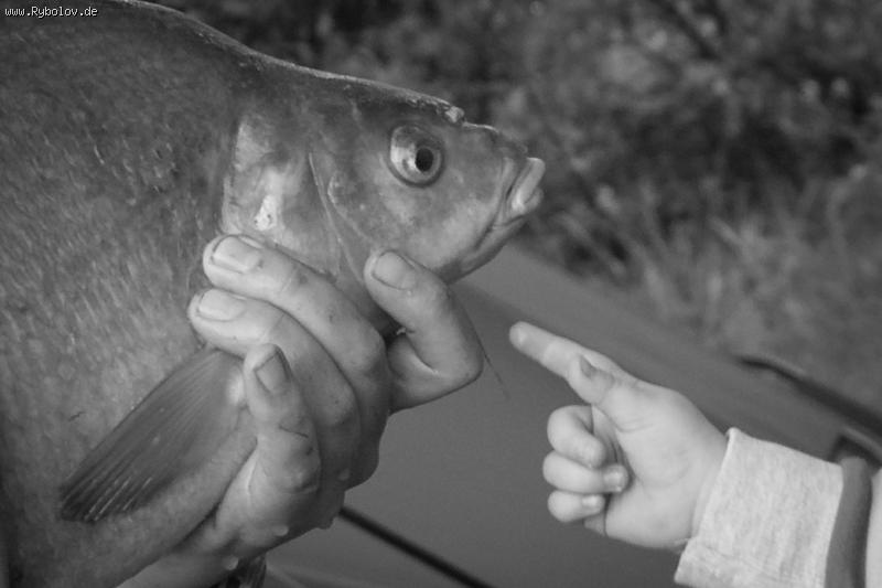 --� �� ���������? - ������� (����������)