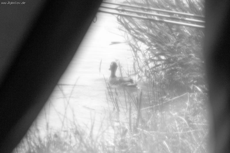 --������ :) - ������� (����������)