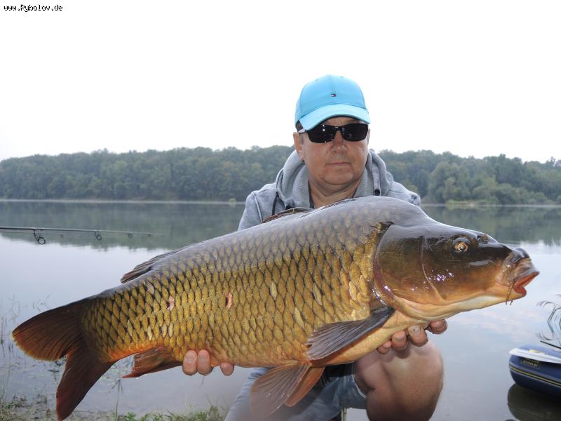 --���� - ������� (����������)