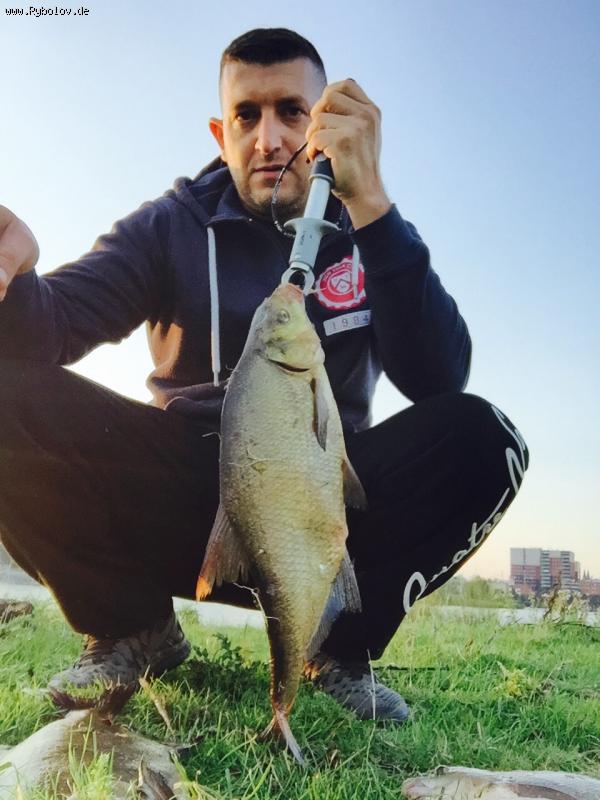 --��������� - ������� (����������)