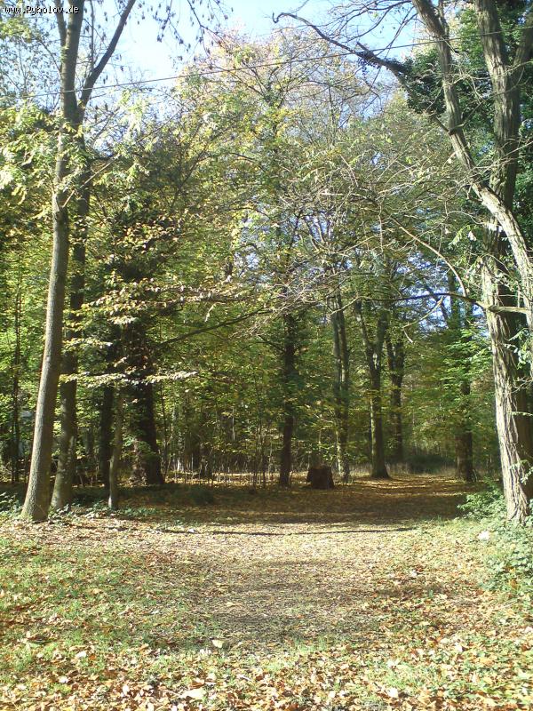 --������� ������!!! - ������� (����������)