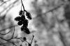 004 - рыбалка (фотоальбом)