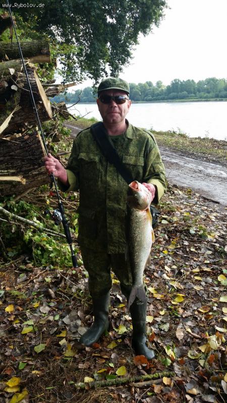 --19.09.2015. Жерех 3,650 кг. Франция, Рейн. - рыбалка (фотоальбом)