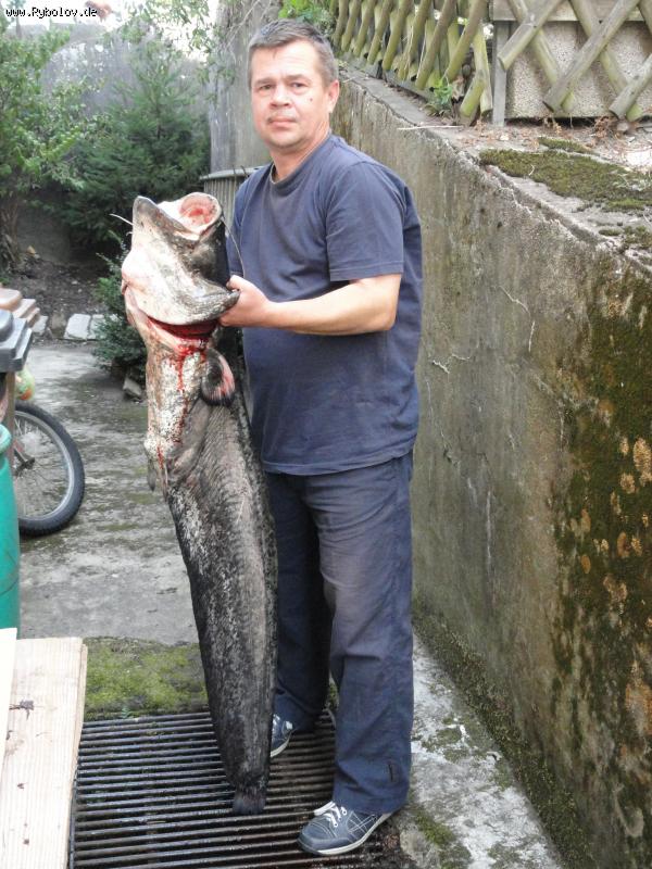 --����� 120 - ������� (����������)