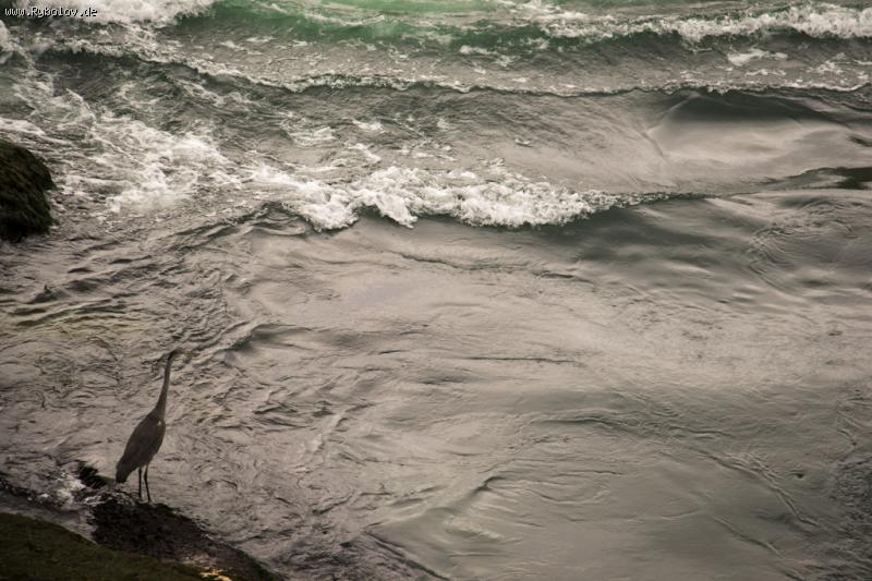 --Rheinfall 23.09.2015 -  ()