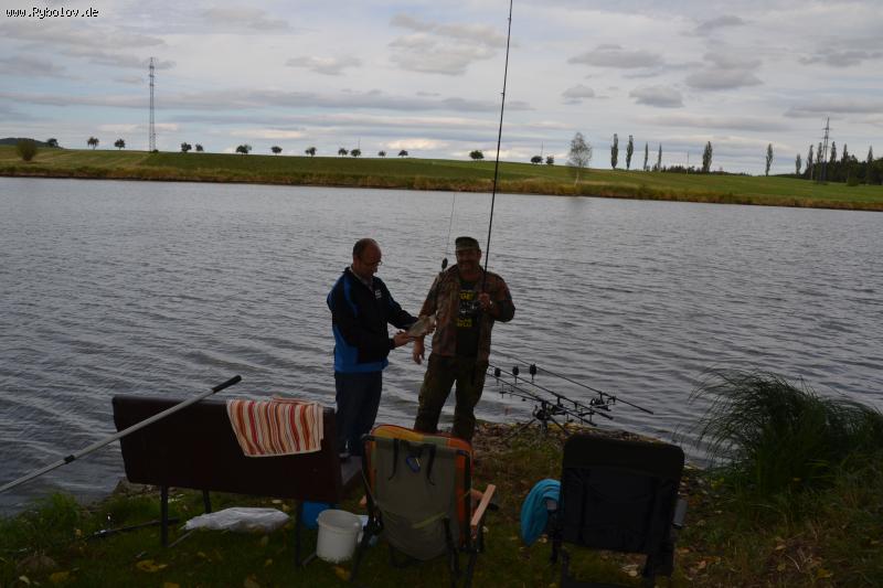 --awstria - ������� (����������)