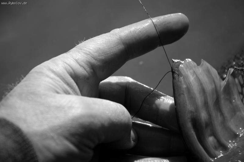 --New Lake_29.09.2015 - ������� (����������)