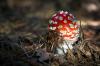 ���� 19.10.2015 - ������� (����������)