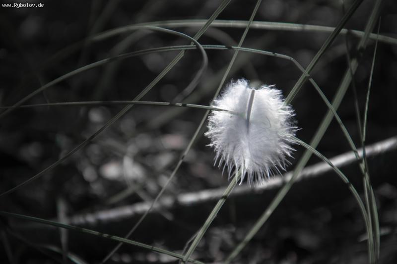 --���� 19.10.2015 - ������� (����������)