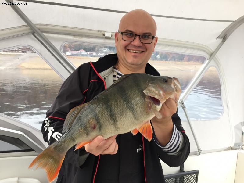 --Edersee 07.11.15 - ������� (����������)