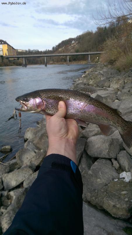 --������ - ������� (����������)