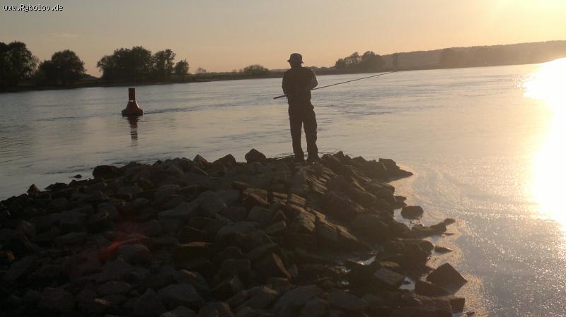 --Gotmann/Elbe - ������� (����������)