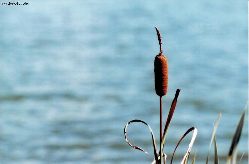 --F2, ������ 8 - ������� (����������)