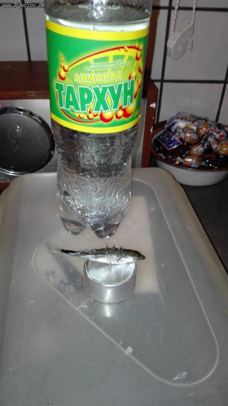 --���� � ����� ������ �����! - ������� (����������)