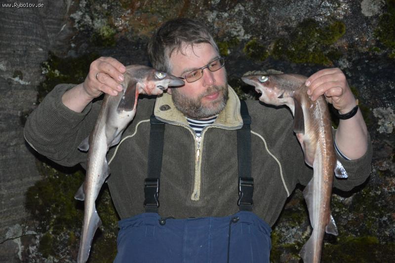 --�������� 2015.. - ������� (����������)