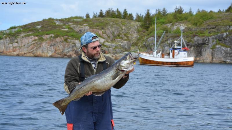 --�������� 2015.. - ������� (����������)