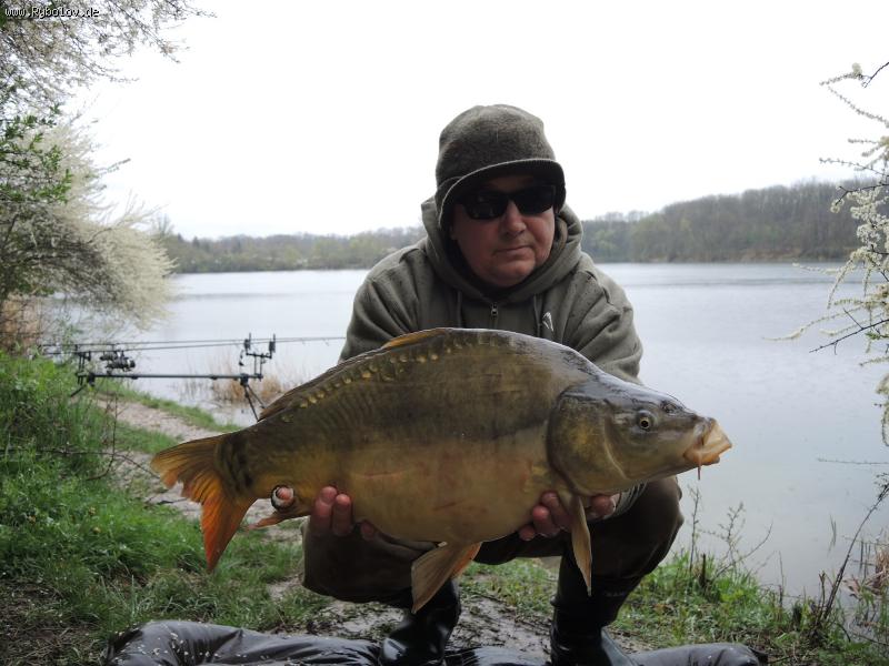 --���� 2016 - ������� (����������)