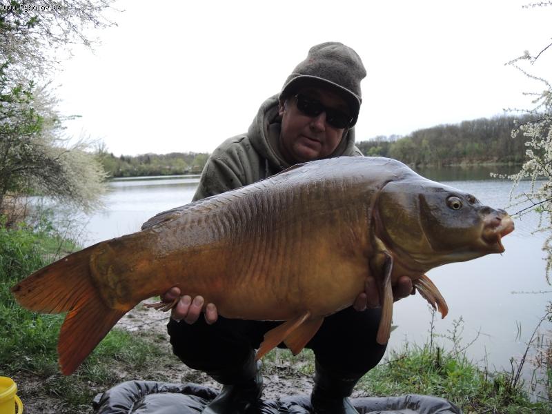 --���� 2016 - ������� (����������)