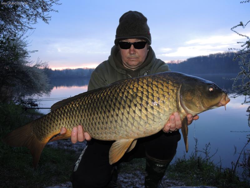 --���� 2016 - ������� (����������)