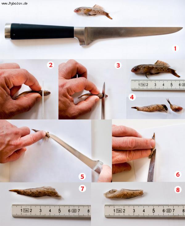 --�����. ���, ����, ����� ����. - ������� (����������)