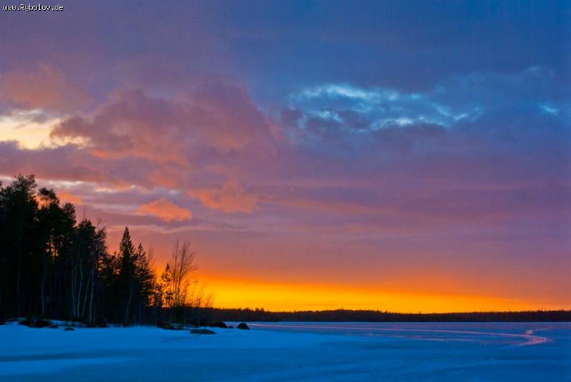 --����� �������, �������� ������ 2016 - ������� (����������)