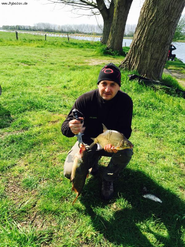 --������� � ��������� 1.5.2016 - ������� (����������)