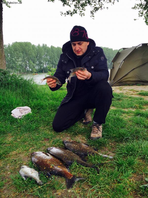 --Голландия 14.5.2016 - рыбалка (фотоальбом)