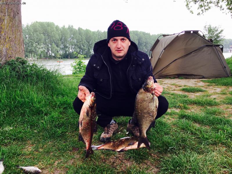 --Голландия 14.5.2016 - рыбалка (фотоальбом)