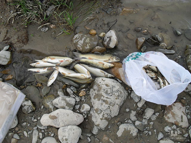 --��������� - ������� (����������)