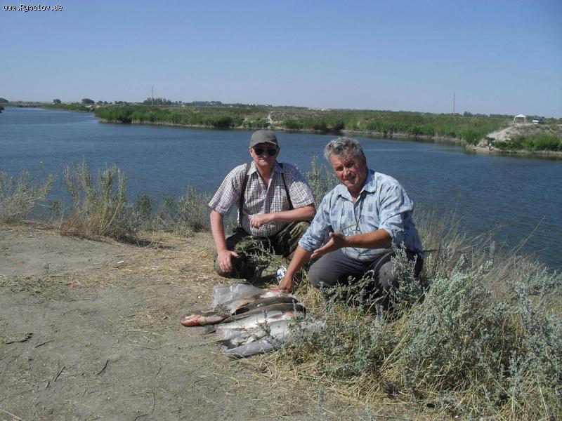 --В Казахстане на толстолоба,на биоплангтон.Интересная рыбалка. - рыбалка (фотоальбом)