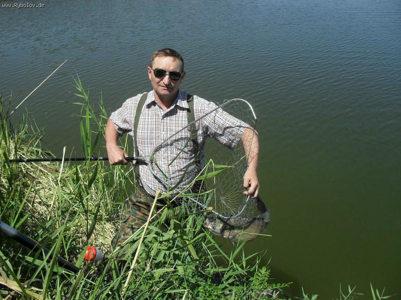 --��������� ����������� � �����.������� ���� - ������� (����������)