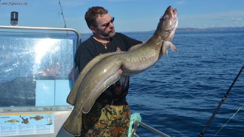 --�������� 2016.. - ������� (����������)