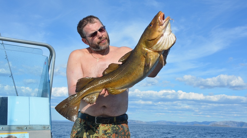 --�������� 2016.. - ������� (����������)