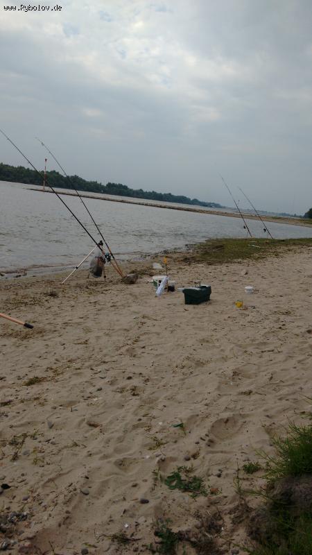 --����� �������  - ������� (����������)