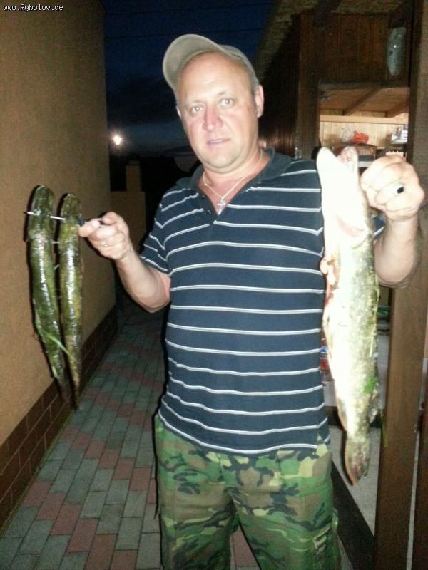 --Main-2016 - ������� (����������)