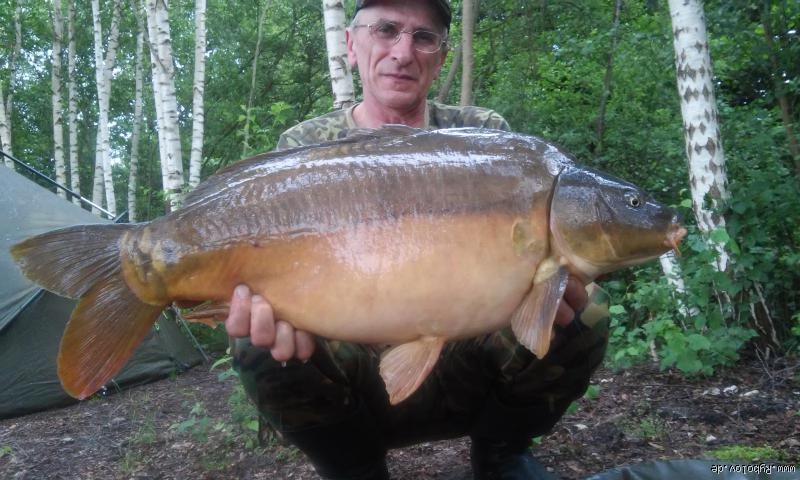 --16 kg -  ()