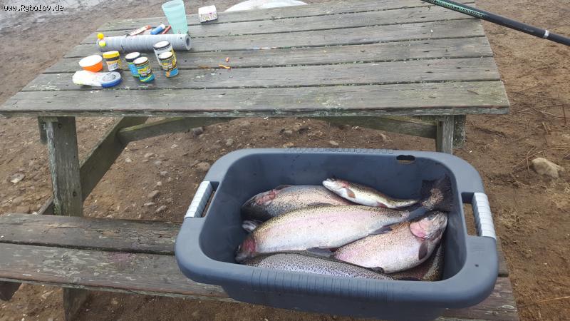 --�������� ����. �����. �������. - ������� (����������)