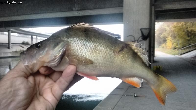 --������! - ������� (����������)