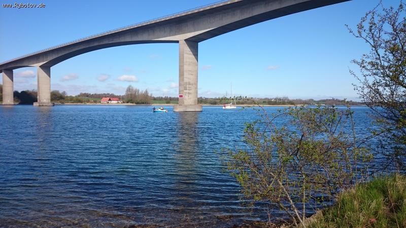 --�����!!! - ������� (����������)