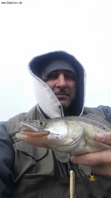 --�������  - ������� (����������)