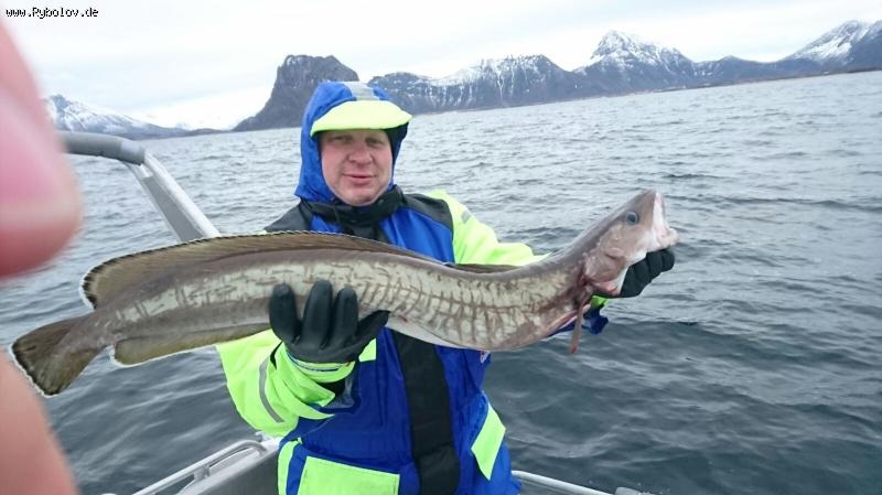 --Норвегия!!! - рыбалка (фотоальбом)