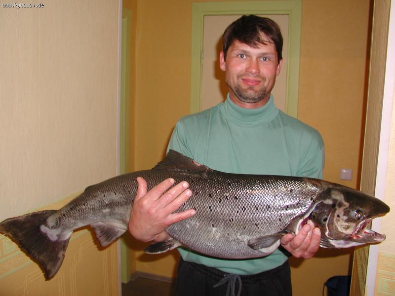 --������ - ������� (����������)