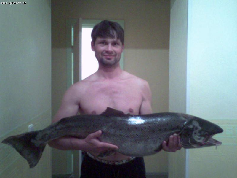 --������ - ������� (����������)